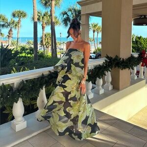 ELLIATT Elysia Gown in Green & Black